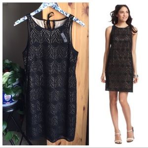 NWT Loft Crochet Lace Sleeveless Shift Dress, 4